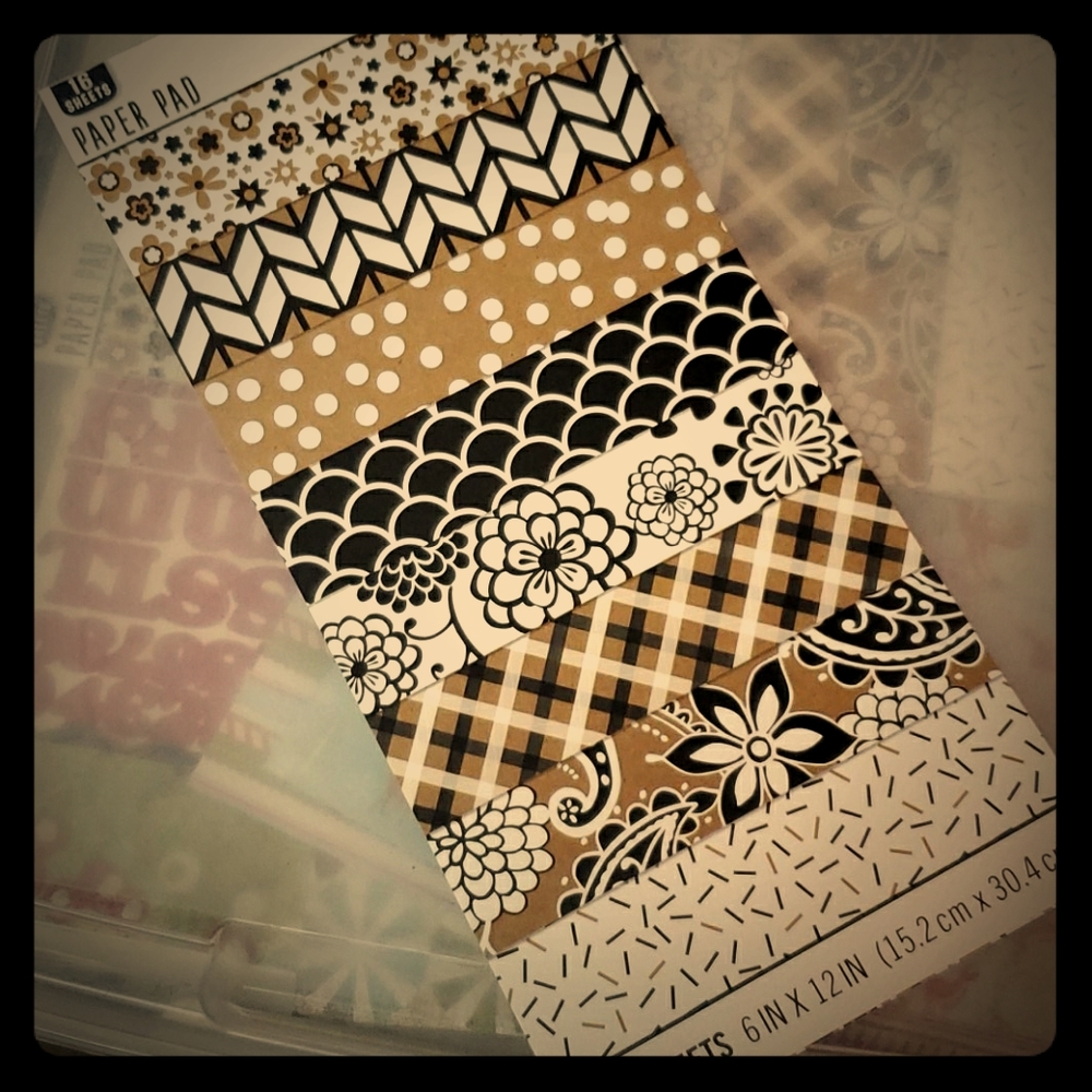 NWT Studio112 16sheet Cardstock